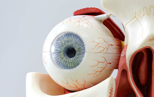 Ojo consulta oftalmológica