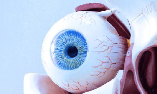 Tipos de prótesis oculares