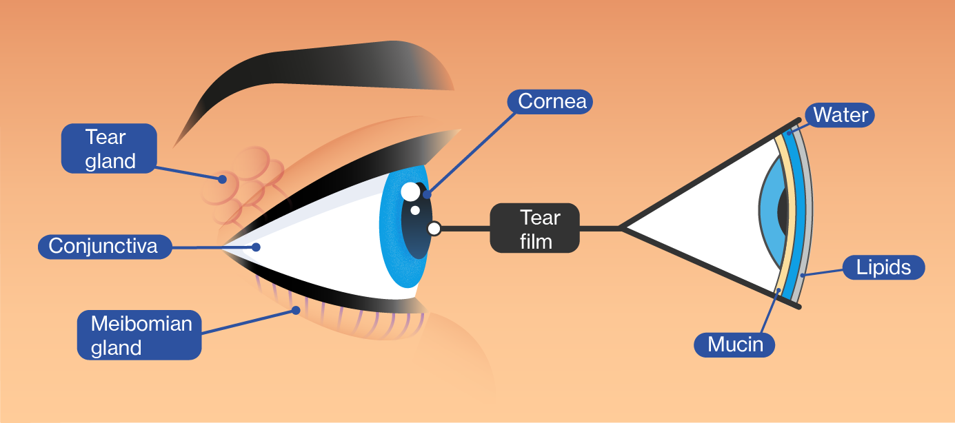 tear film function