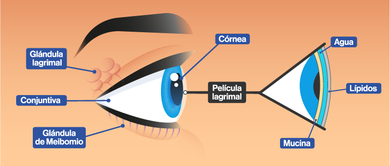 Ojo seco: tratamiento natural para calmar la irritación